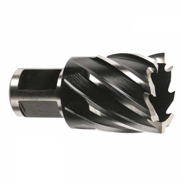 Milwaukee 1-1/4 in. HSS Annular Cutter 1 in. Depth