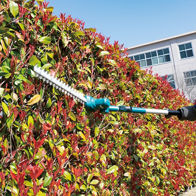 Makita 18-1/8" 18V LXT Telescopic Pole Hedge Trimmer Kit w/3Ah Battery